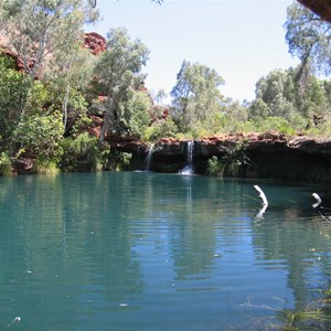 Fern Pool