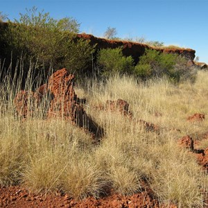 Wilson Cliffs