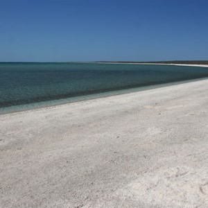 Shell Beach