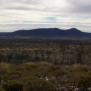 Mount Salvado