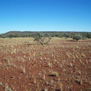 Mount Moore (coondoo Noodoo)