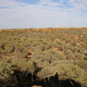 Mackenzie Gorge