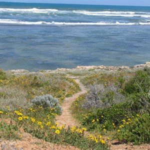 Leander Point