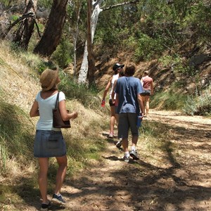 Stockyard Gully Tunnel