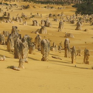 Limestone pillars in the sun