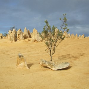 The Pinnacles