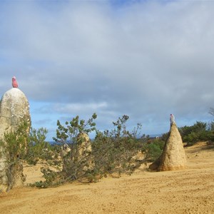 The Pinnacles