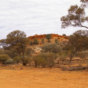 Point Kidman