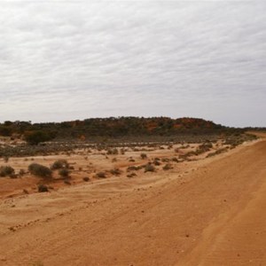 Point Kidman