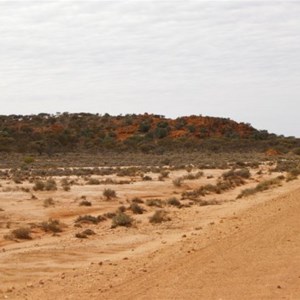 Point Kidman