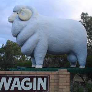 Wagin