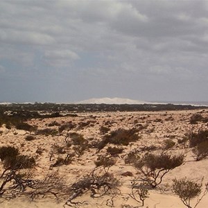 Bilbunya Dunes