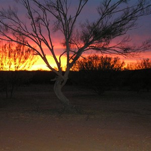 Sturt National Park