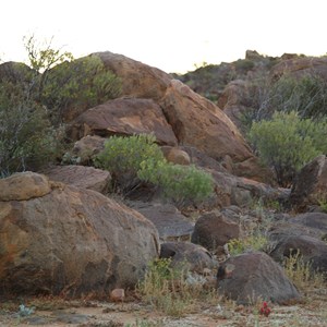 Sturt National Park