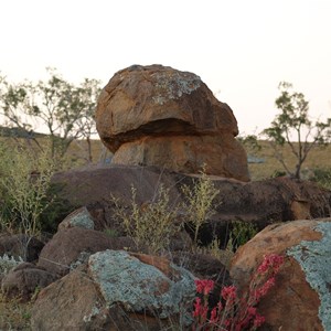 Sturt National Park