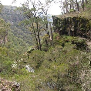 Coolah Tops National Park