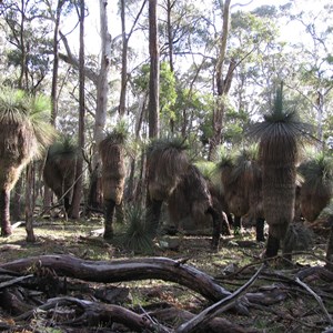 Coolah Tops National Park