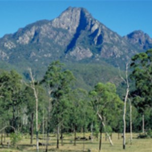 Mount Barney National Park