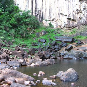 Whian Whian State Forest