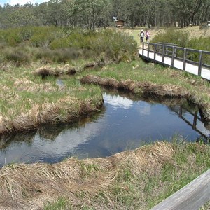 Barrington Tops National Park