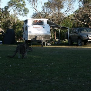 Crowdy Bay National Park