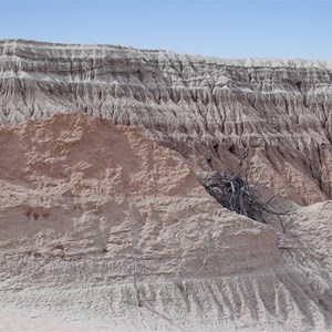 Mungo National Park