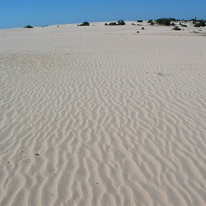 Mungo National Park