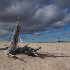 Mungo National Park