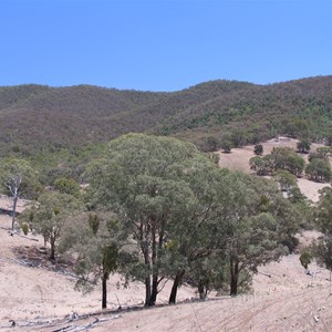 Winburndale Nature Reserve