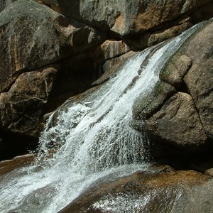 Wadbilliga National Park