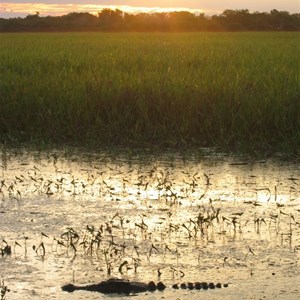 Kakadu National Park