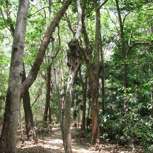 Fogg Dam Conservation Reserve