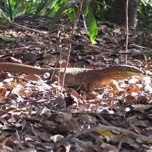 Territory Wildlife Park