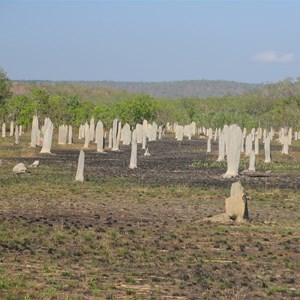 Mounds oriented to magnetic north