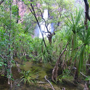 Wangi Falls from the boardwalk