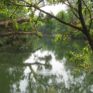 Douglas R / Daly R Esplanade Conservation Area