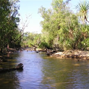 Tjuwaliyn (Douglas) Hot Springs Nature Park