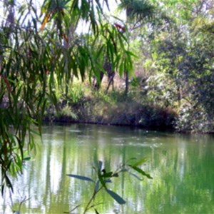 Tjuwaliyn (Douglas) Hot Springs Nature Park