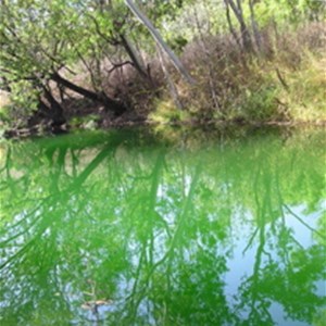 Tjuwaliyn (Douglas) Hot Springs Nature Park