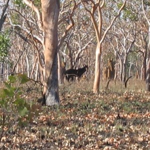 Kakadu National Park