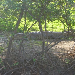 Kakadu National Park