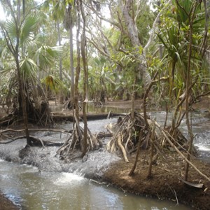 Elsey National Park