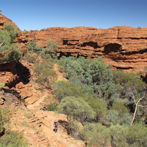 King's Canyon walk