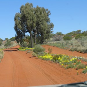 Chambers Pillar Historical Reserve