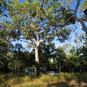 Iron Range National Park