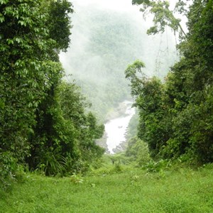 Wooroonooran National Park