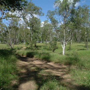 Dalrymple National Park