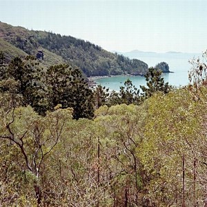 Cape Hillsborough National Park