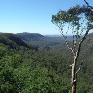 Blackdown Tableland National Park