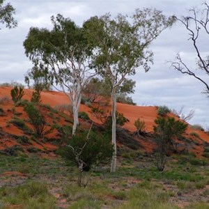 Welford National Park